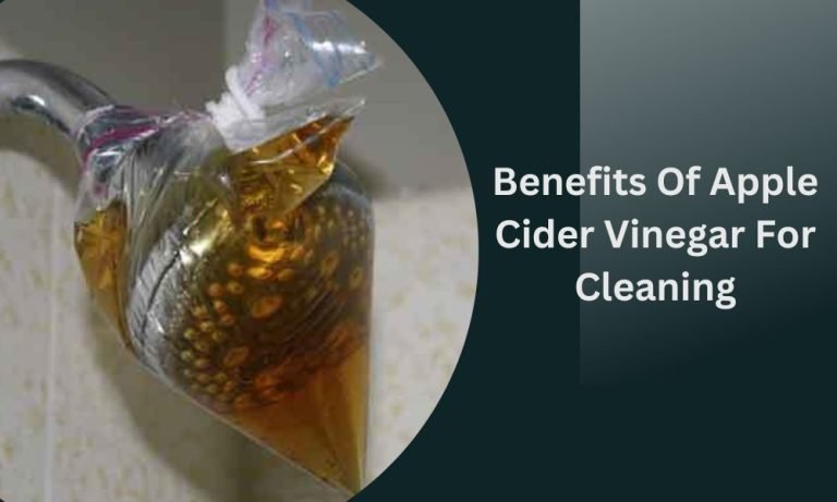 Apple Cider Vinegar to Clean Shower Head[Step-by-Step Guide]