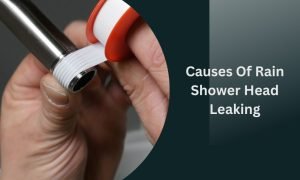 Rain Shower Head Leaking [With Solutions]