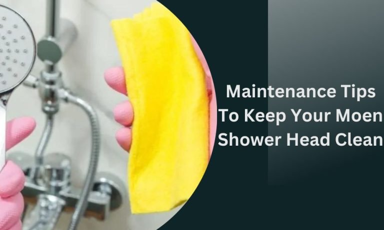 Moen Shower Head Cleaning [Step-By-Step Process]