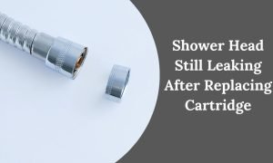 Shower Head Still Leaking After Replacing Cartridge [Find Solutions Here]