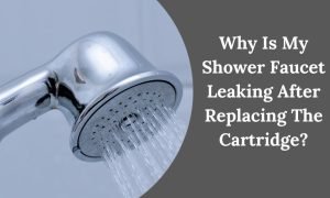 Shower Head Still Leaking After Replacing Cartridge [Find Solutions Here]