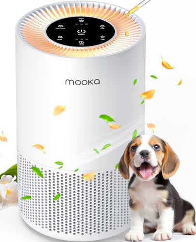 5 Best Air Purifier for Basement Smells [In 2025]