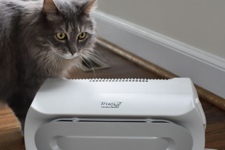 What Is The Best Air Purifier for Pet Hair [In 2025]