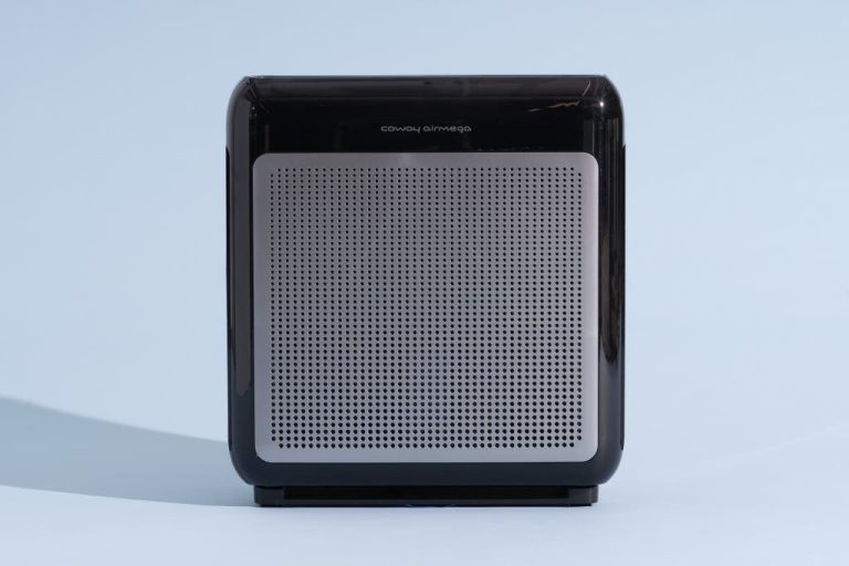 What Is The Best Air Purifiers for Smoke [In 2025]