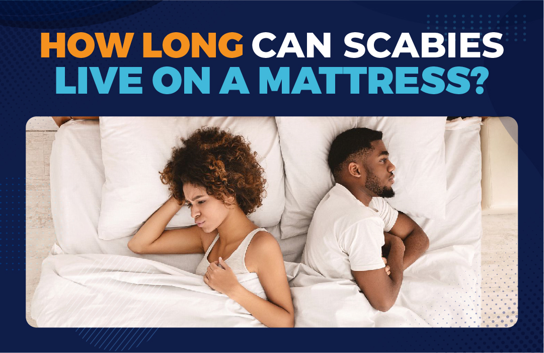 How Long Can Scabies Live in a Mattress