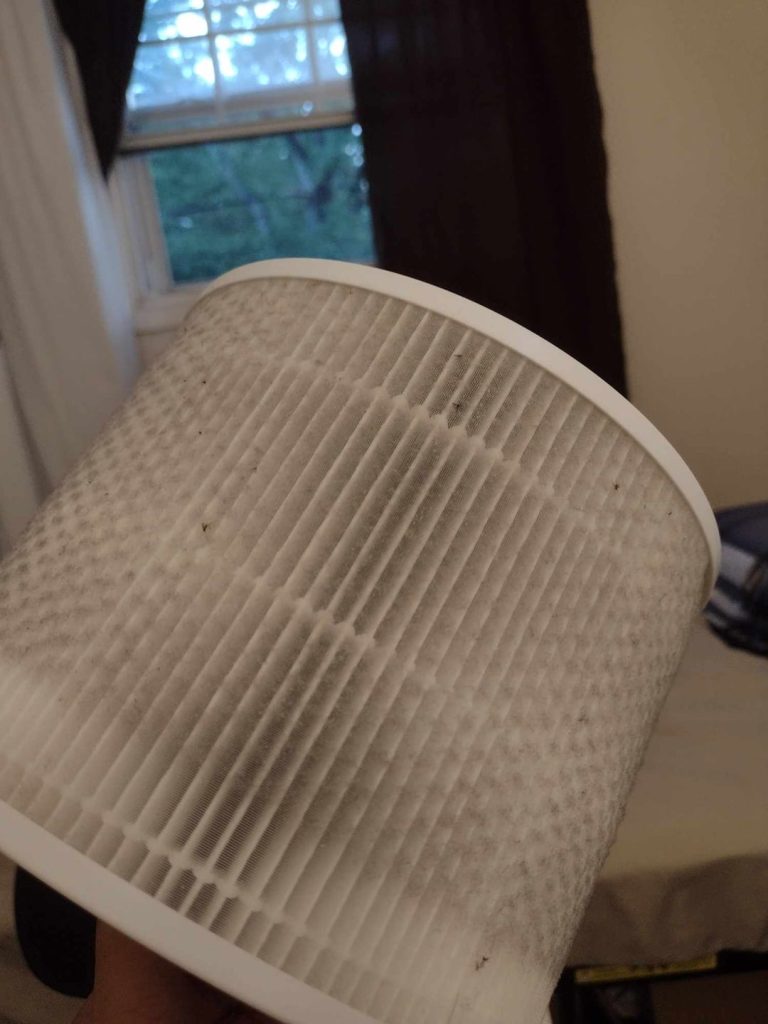 How Long Do Levoit Air Purifier Filters Last: Expert Insights