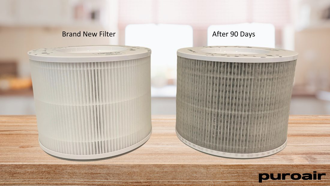 How Long Does Filter Last in Air Purifier