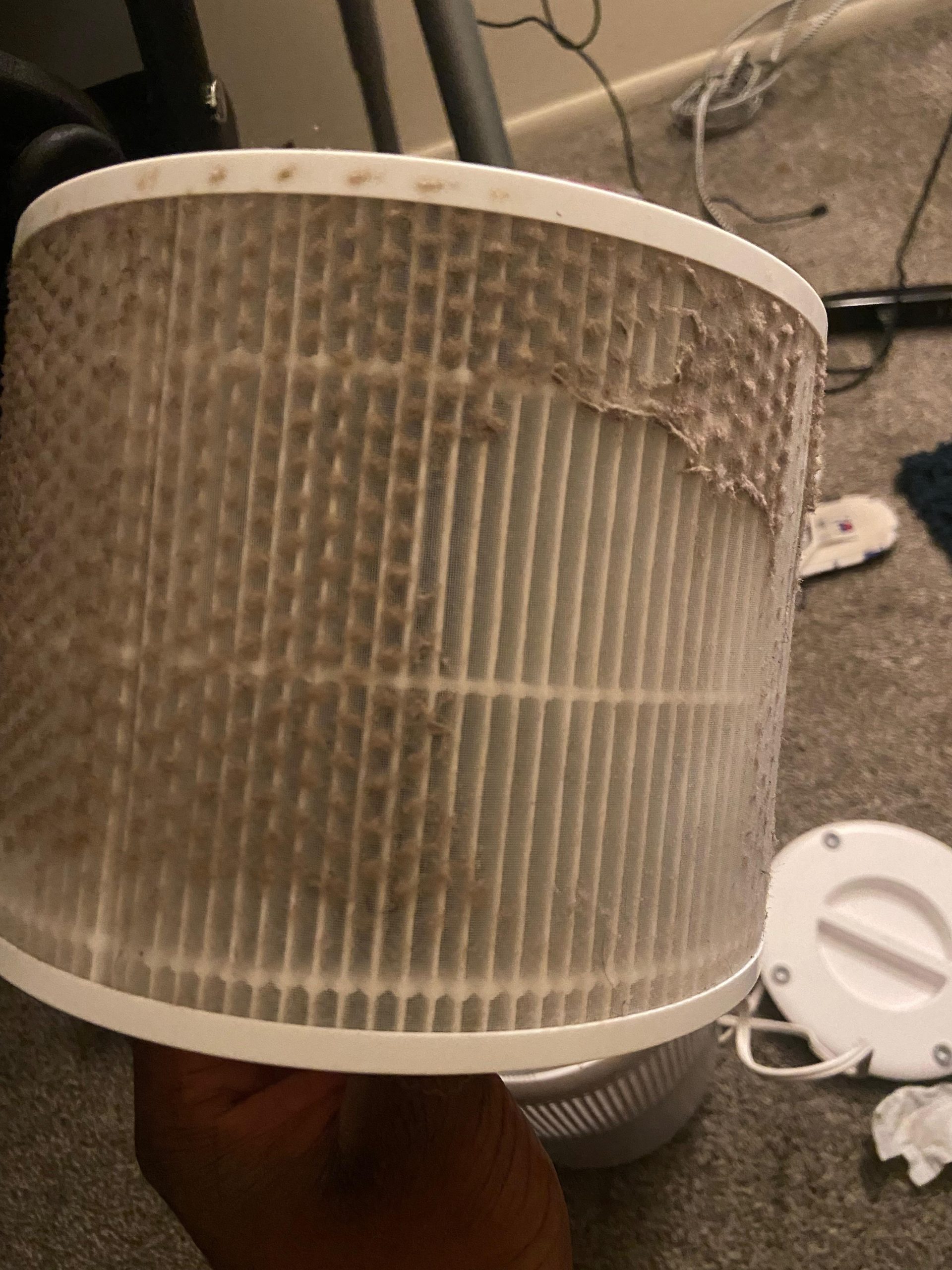 How Long for Air Purifier to Clean Room Reddit