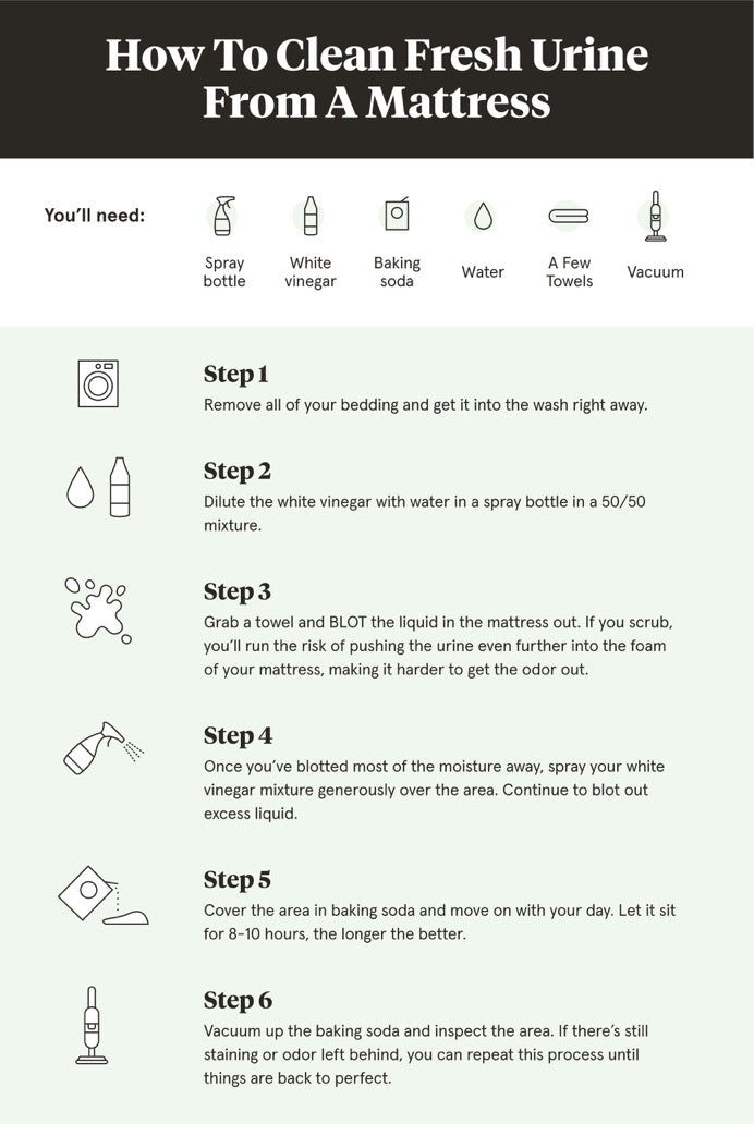 How to Remove Dog Urine from Mattress: Quick Solutions
