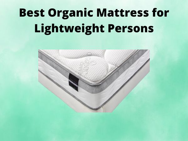 5 Best Orthopedic Mattress for Dogs [In 2025]