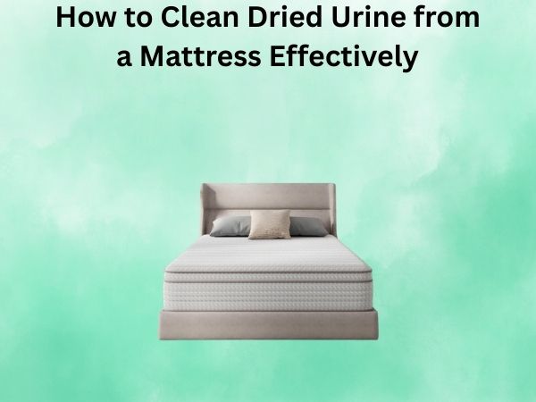 How to Clean Dried Urine from a Mattress Effectively