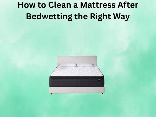 How to Clean a Mattress After Bedwetting the Right Way