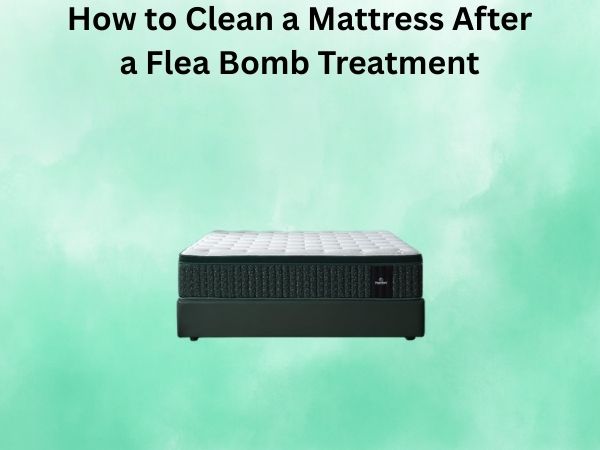 How to Clean a Mattress After a Flea Bomb Treatment
