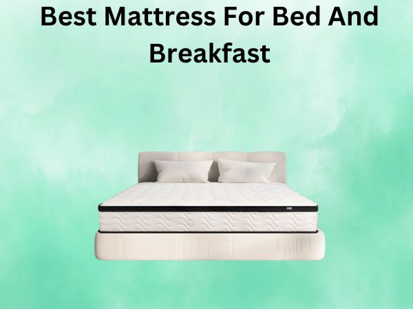 What Is The Best Mattress For Bed And Breakfast [In 2026]