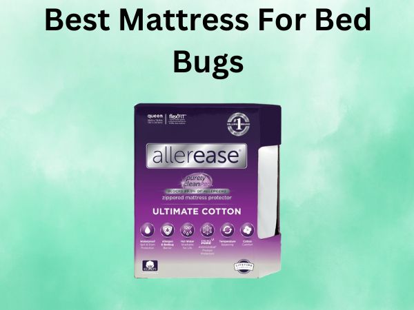 What Is The Best Mattress For Bed Bugs [In 2026]
