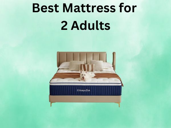 What Is The Best Mattress for 2 Adults [In 2026]