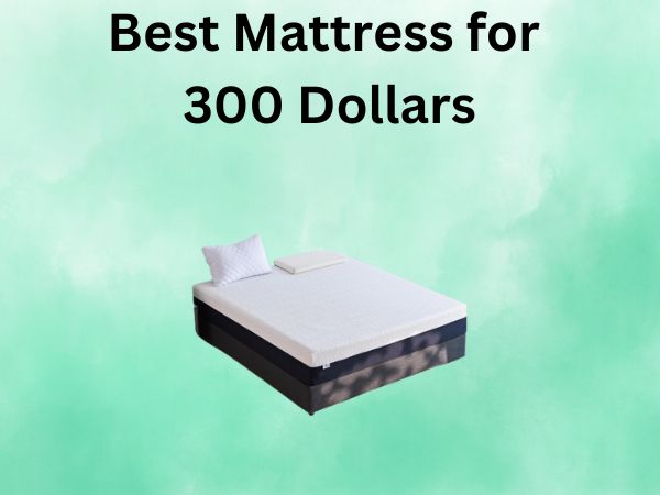 What Is The Best Mattress for 300 Dollars [In 2026]