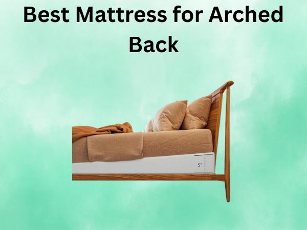 What Is The Best Mattress for Arched Back [In 2026]