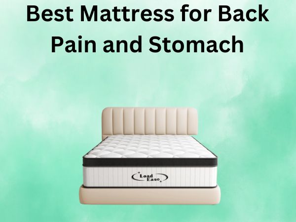 What Is The Best Mattress for Back Pain and Stomach Sleeper [In 2026]