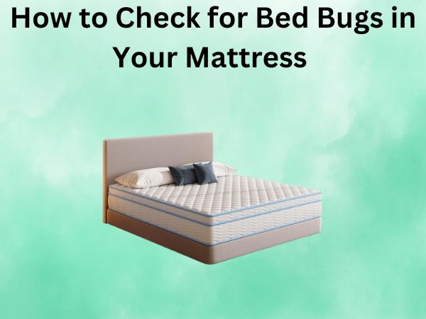 How to Check for Bed Bugs in Your Mattress (Easy Step-by-Step Guide)