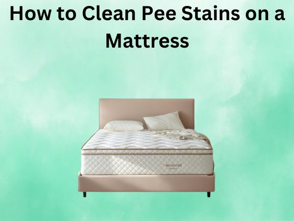 How to Clean Pee Stains on a Mattress Easily