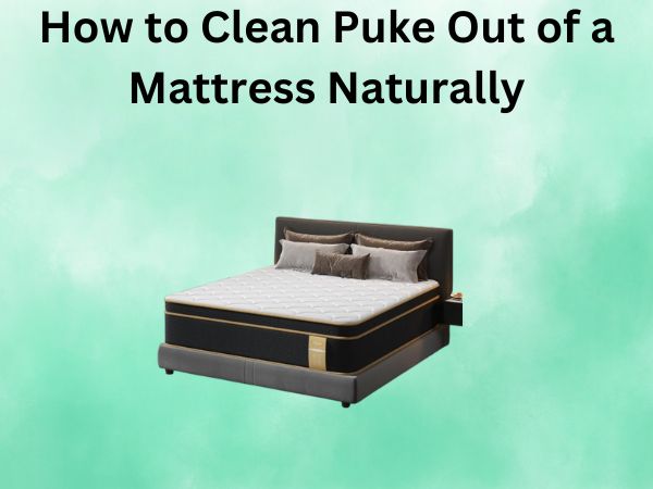 How to Clean Puke Out of a Mattress Naturally