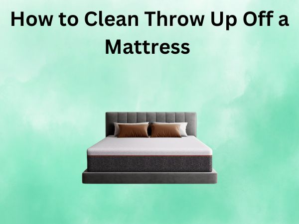 How to Clean Throw Up Off a Mattress the Easy Way
