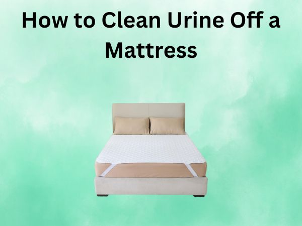 How to Clean Urine Off a Mattress: A Step-by-Step Guide