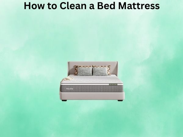How to Clean a Bed Mattress: A Step-by-Step Guide
