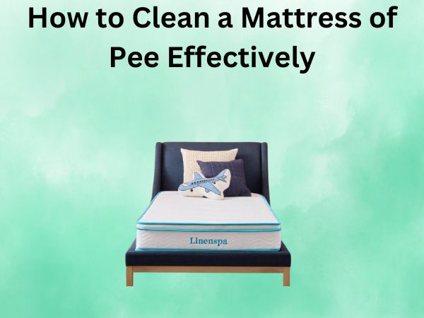 How to Clean a Mattress of Pee Effectively