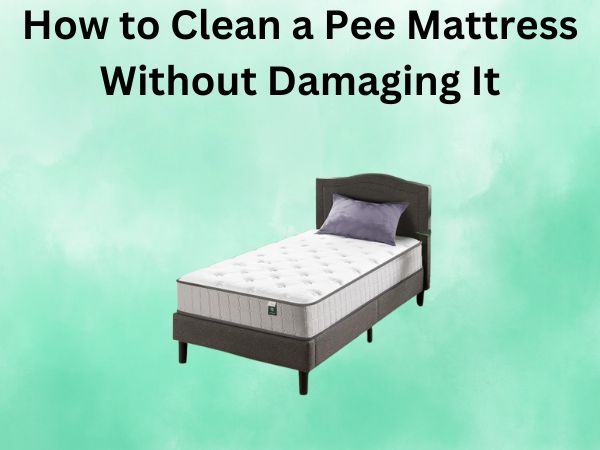 How to Clean a Pee Mattress Without Damaging It
