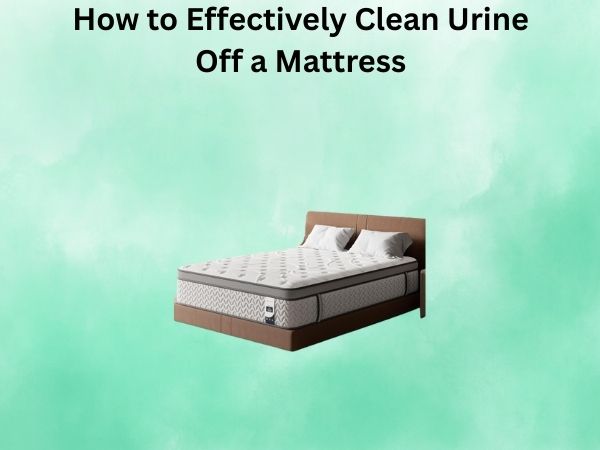 How to Effectively Clean Urine Off a Mattress