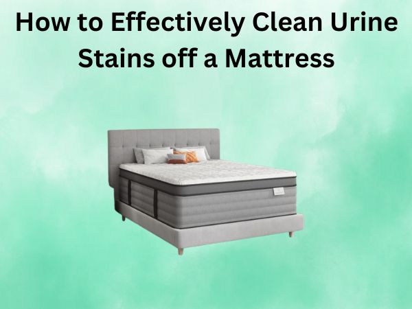How to Effectively Clean Urine Stains off a Mattress