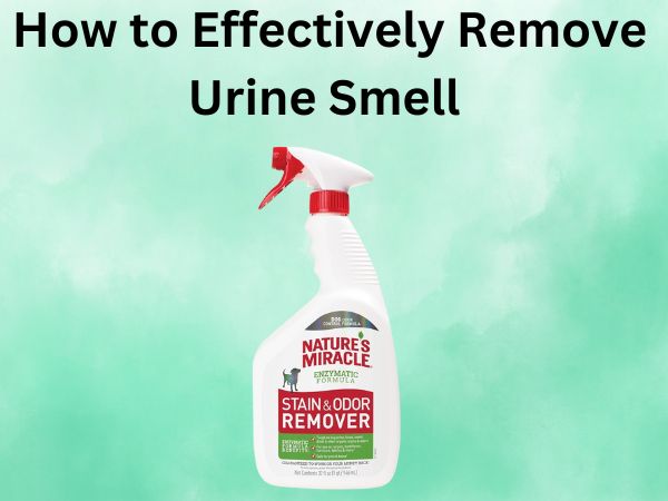 How to Effectively Remove Urine Smell from Your Mattress
