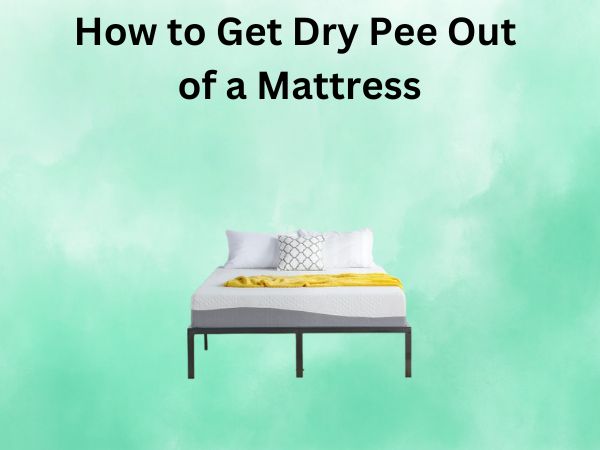 How to Get Dry Pee Out of a Mattress