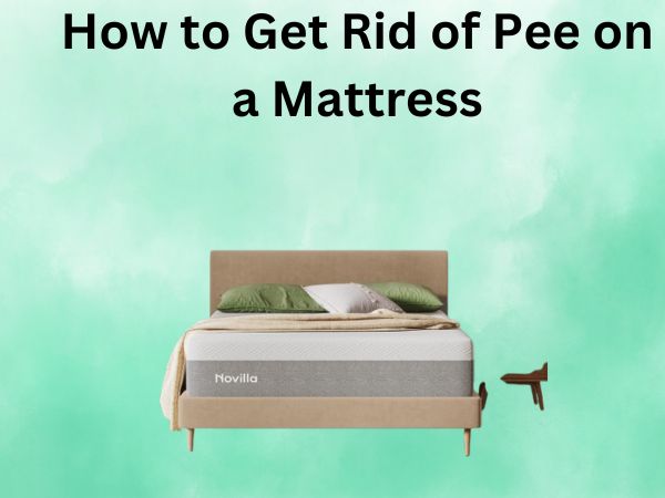 How to Get Rid of Pee on a Mattress [Quickly]
