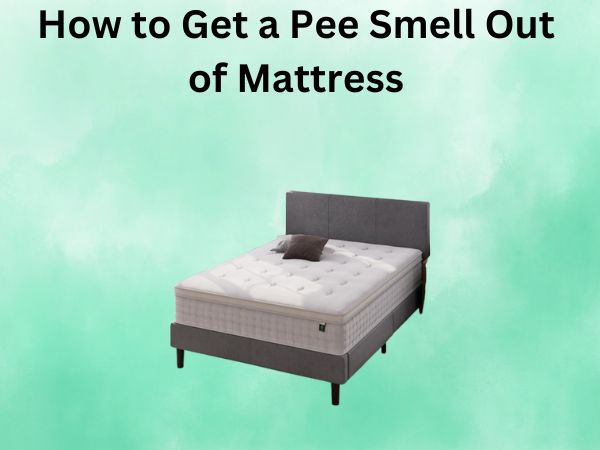 How to Get a Pee Smell Out of Mattress Fast
