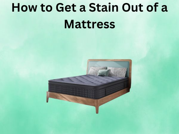 How to Get a Stain Out of a Mattress: A Step-by-Step Guide