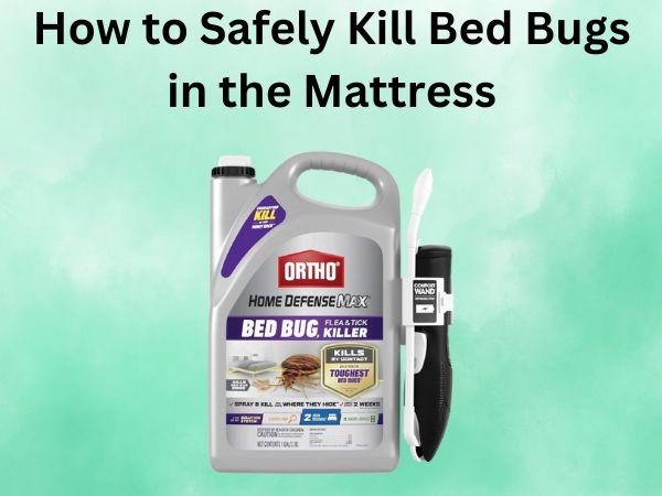 How to Safely Kill Bed Bugs in the Mattress