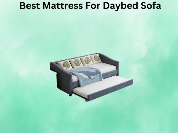 What Is The Best Mattress For Daybed Sofa [In 2026]