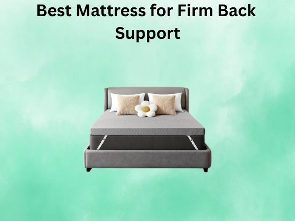 What Is The Best Mattress for Firm Back Support [In 2026]
