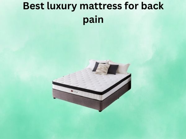 What Is The best luxury mattress for back pain [In 2026]