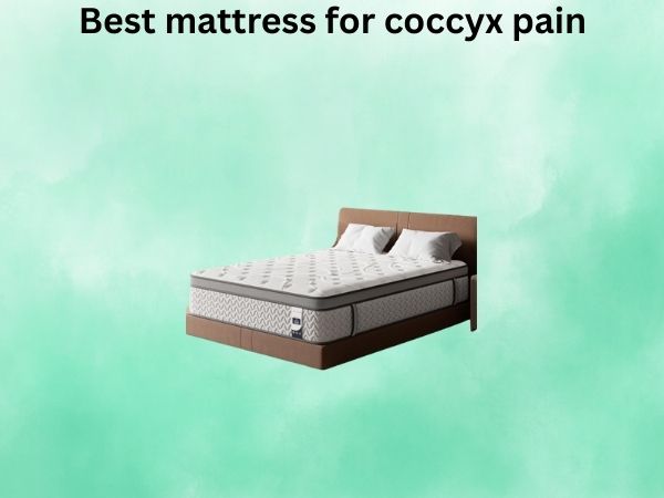 What Is The best mattress for coccyx pain [In 2026]