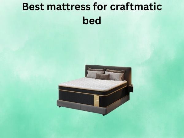 What Is The best mattress for craftmatic bed [In 2026]
