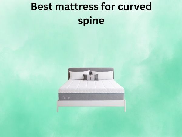 What Is The best mattress for curved spine [In 2026]