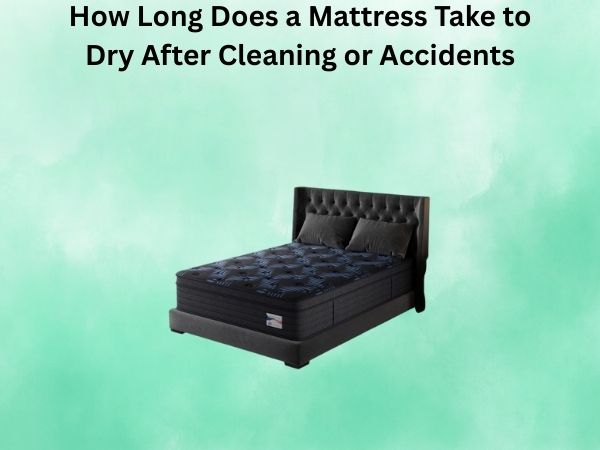 How Long Does a Mattress Take to Dry After Cleaning or Accidents?