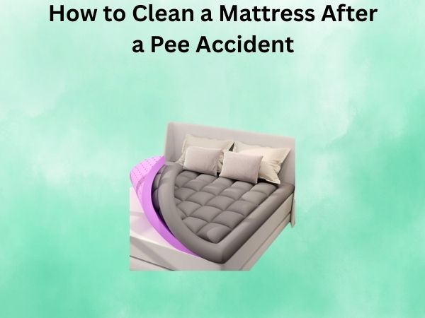 How to Clean a Mattress After a Pee Accident