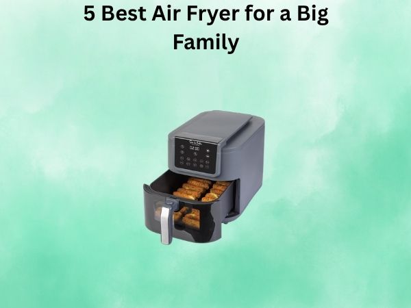 5 Best Air Fryer for a Big Family [In 2026]