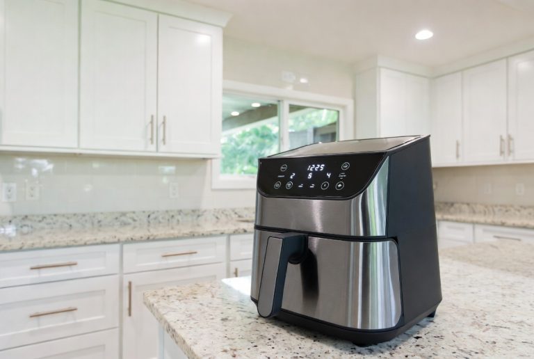 What Is The Best Air Fryer for Salmon [In 2026]