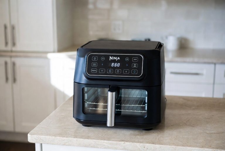 Ninja Air Fryer SP100 vs SP101: Which Model Is Better?